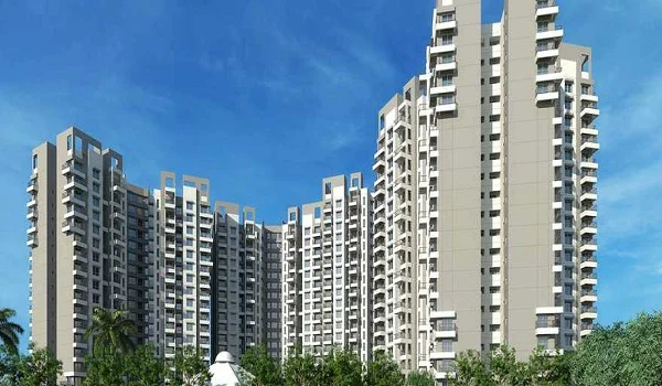 Purva Gold Crest